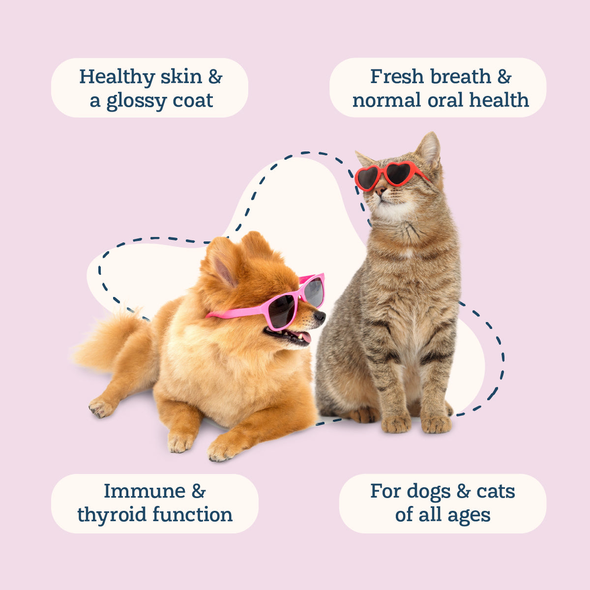 Organic Kelp for Cats & Dogs