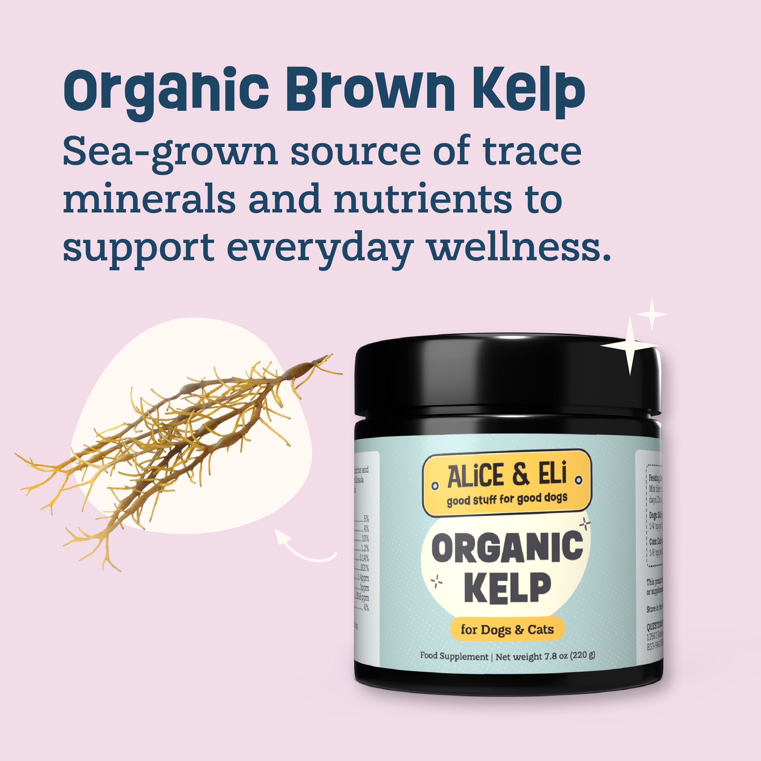 Organic Kelp for Cats & Dogs