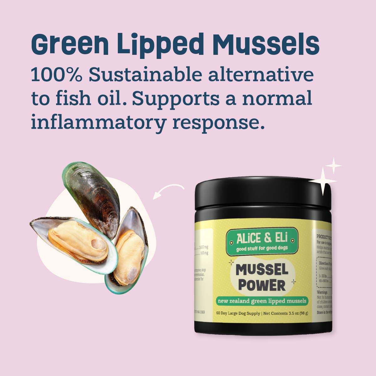 Mussel Power